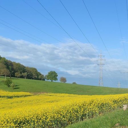 Ferienwohnung Kirchberg Uettingen ภายนอก รูปภาพ